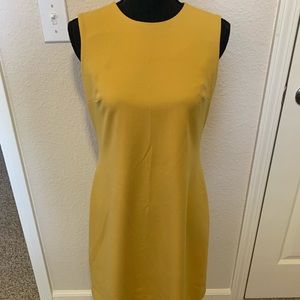 Above the knee, Calvin Klein mustard dress, size 6